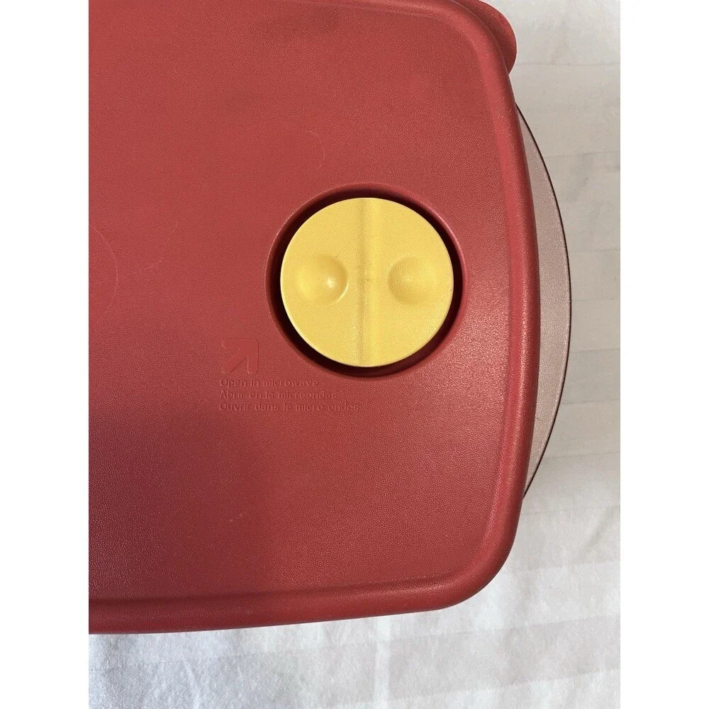 Vintage Tupperware Rock n Serve 3381A-2.  6 Cups Rectangular Lidded Container.